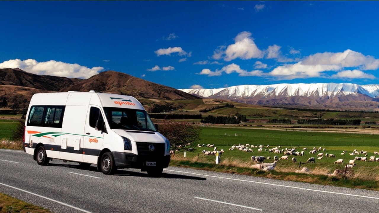 Camper von Apollo in Neuseeland vor einer Schafwiese