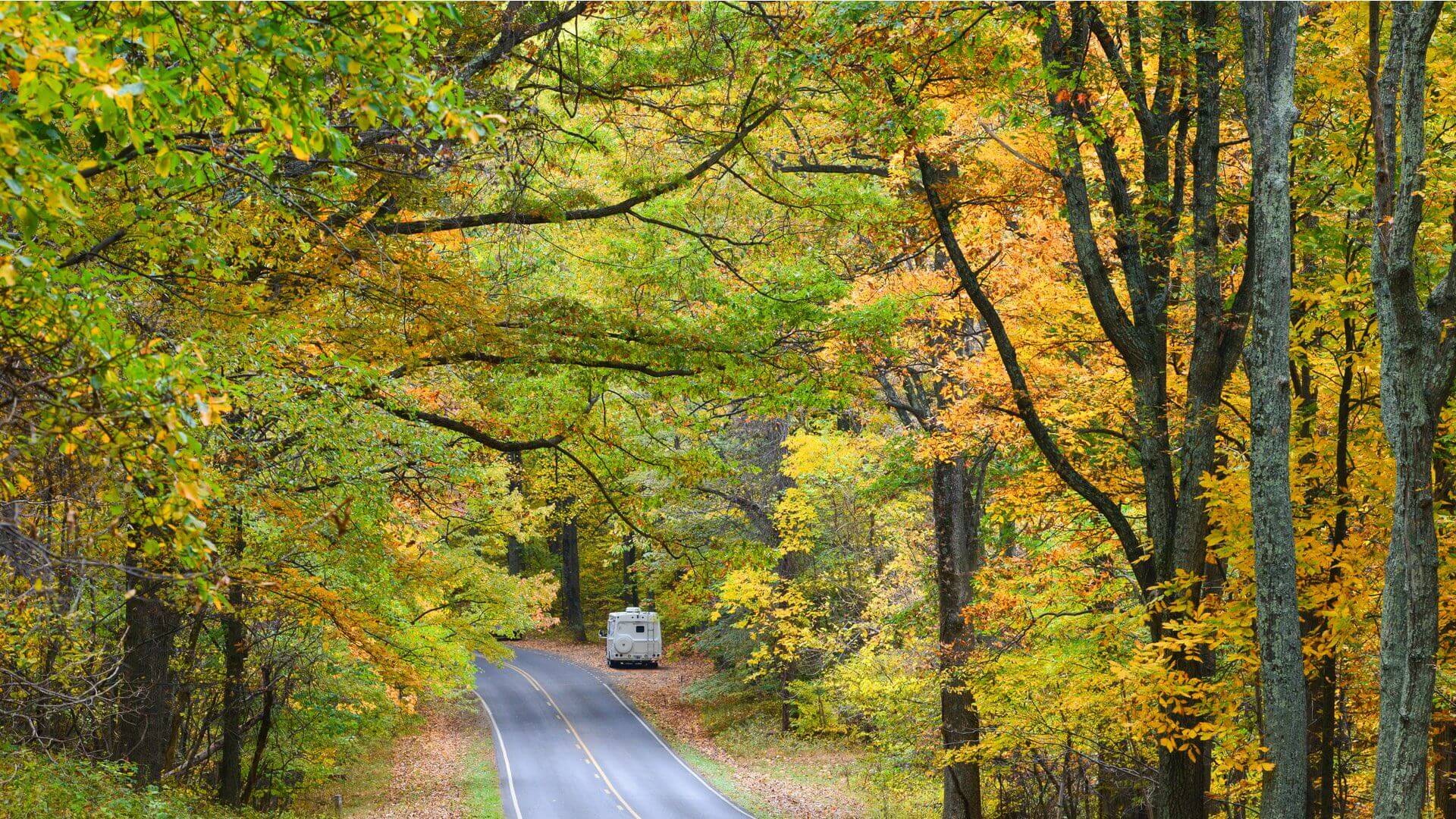Straße im Shenandoah Nationalpark im Herbst.