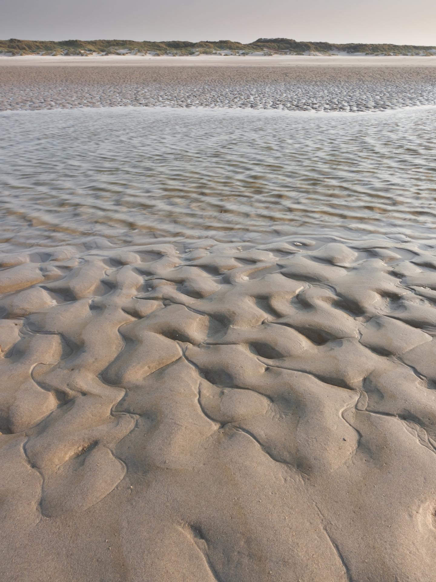 Ebbe im Wattenmeer