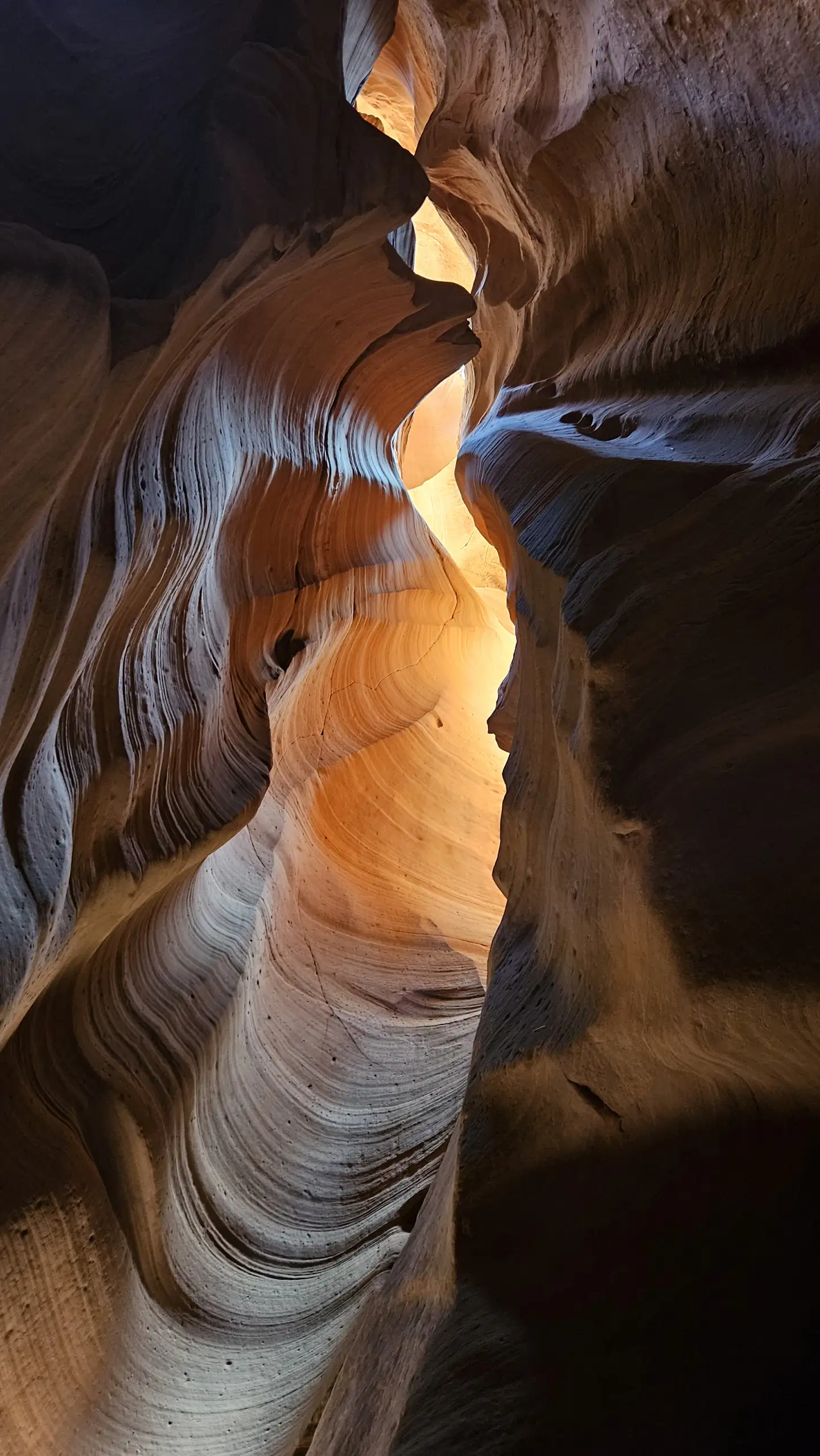 Eine magische und lichtdurchflutete Felsschlucht.