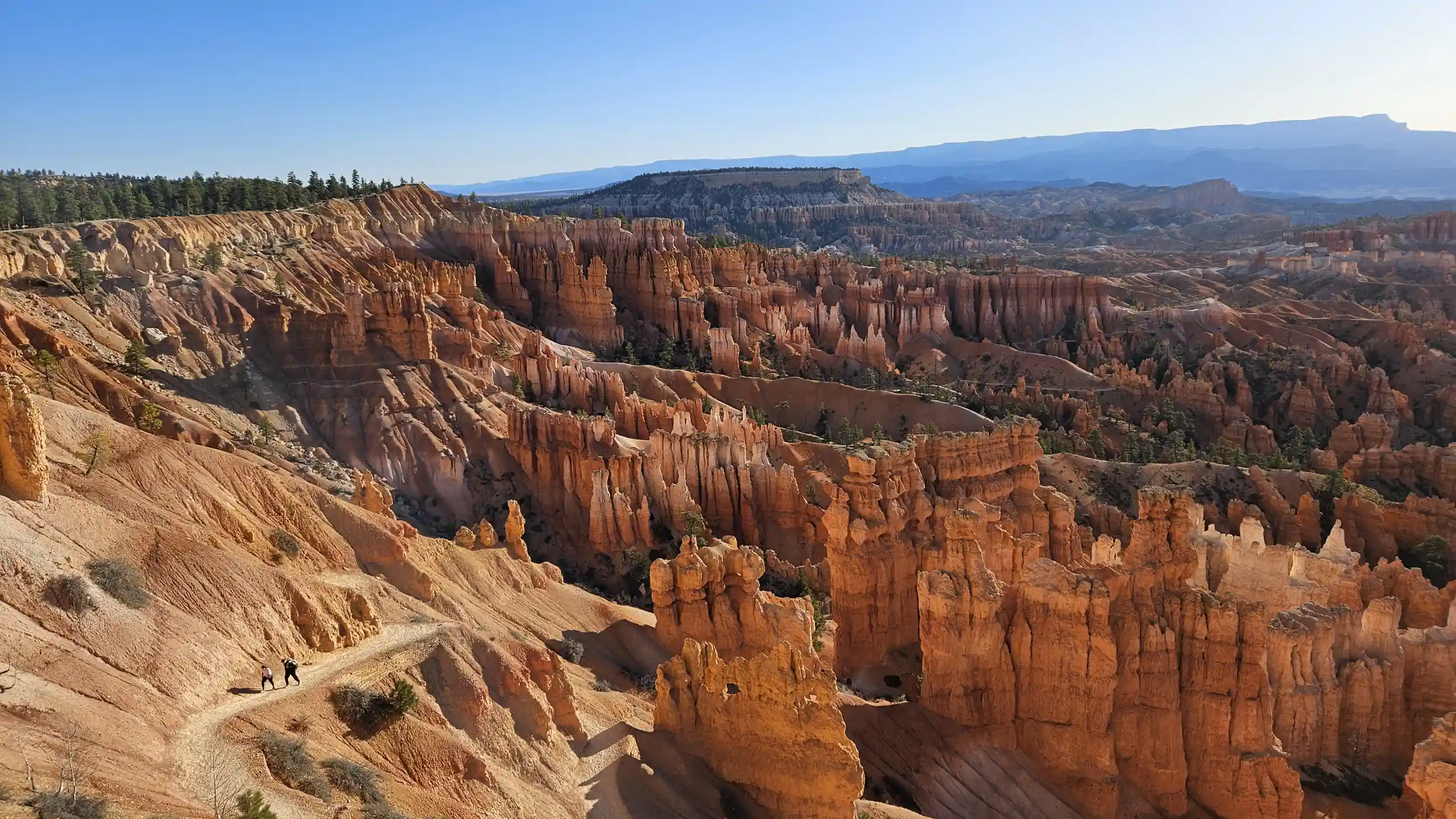 Die rote Felslandschaft des Bryce Canyon.