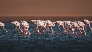 Walvis Bay