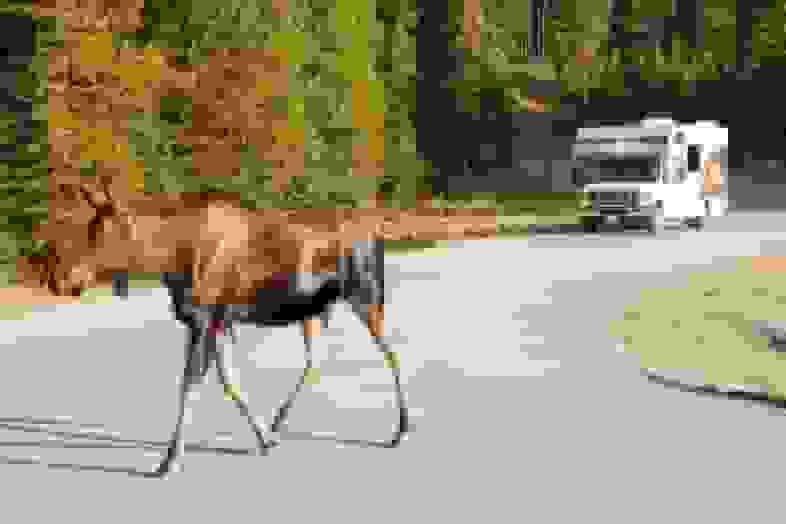 Blurred Stimmungsbild4