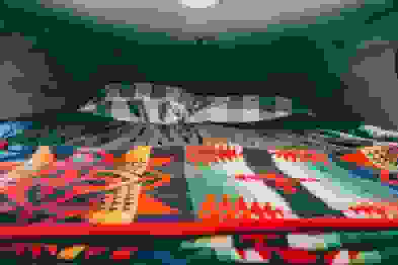 Blurred Innenansicht3