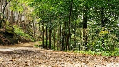 Riesa