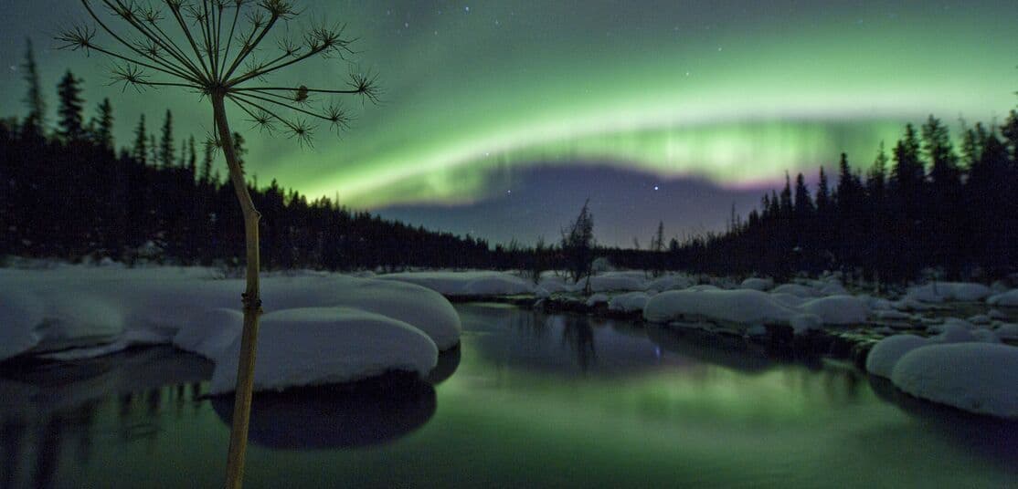 Whitehorse