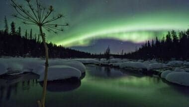 Whitehorse