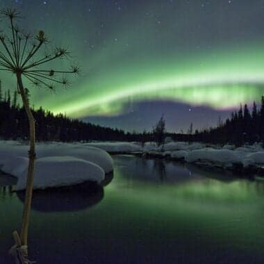 Whitehorse
