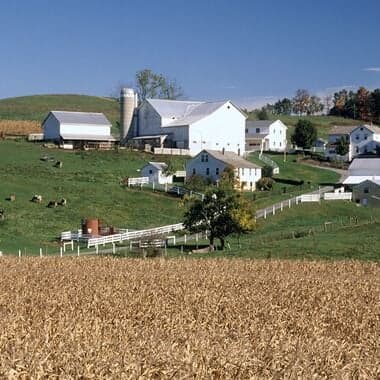 Middlebury