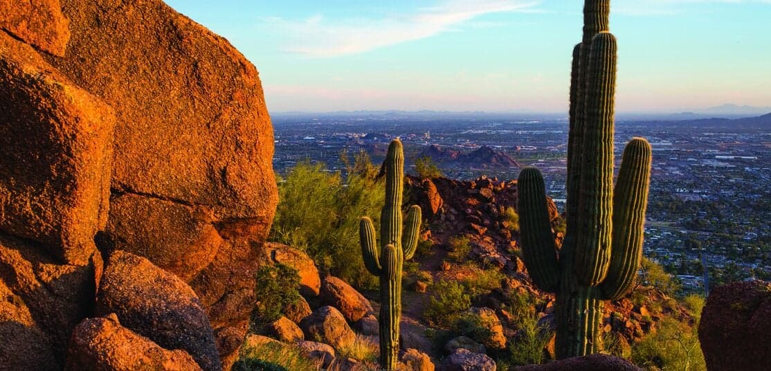 Phoenix