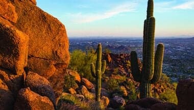 Phoenix