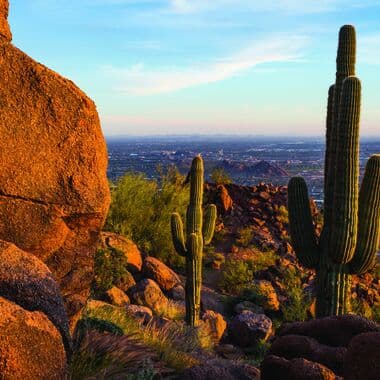 Phoenix