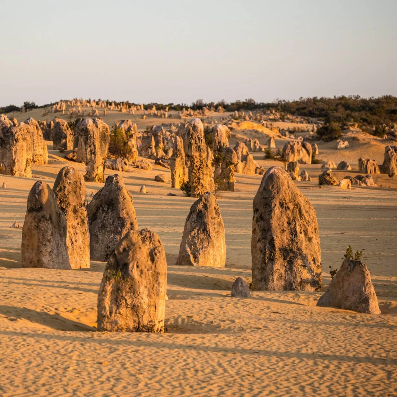 Pinnacles im Nambung-Nationalpark
