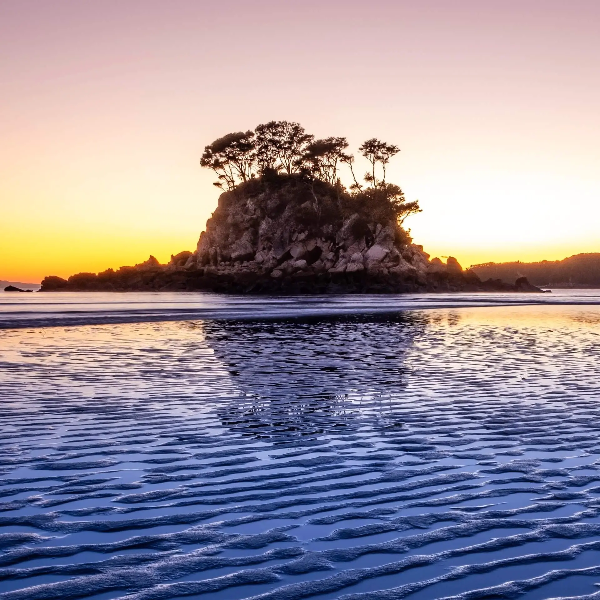 Sonnenbaden mit Zwergpinguinen: Urlaub im Abel Tasman-Nationalpark