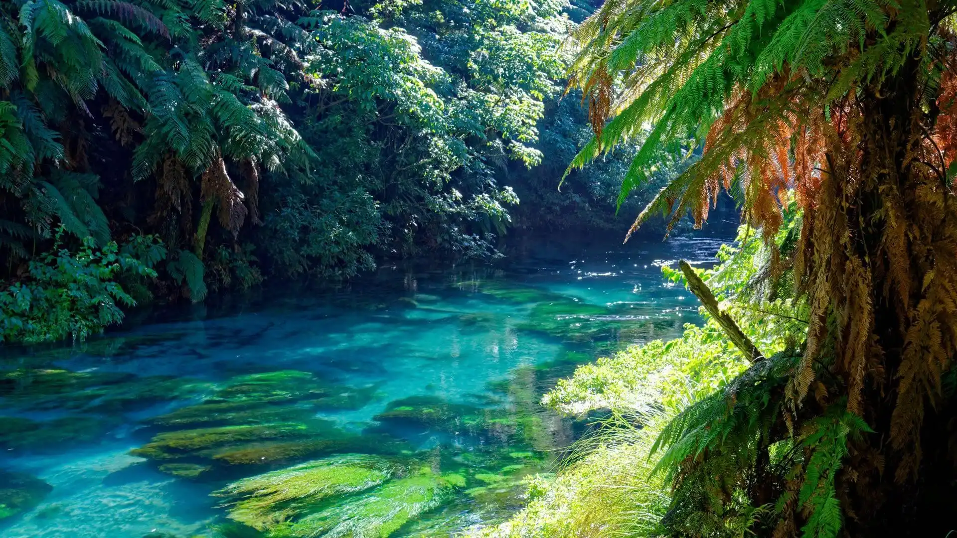 Top 5 Glamping-Sites in Neuseeland: Luxus-Zelten bei den Kiwis