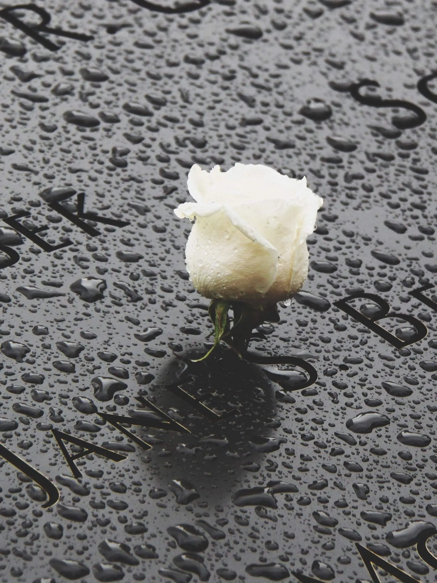 In Gedenken an den 11. September 2001