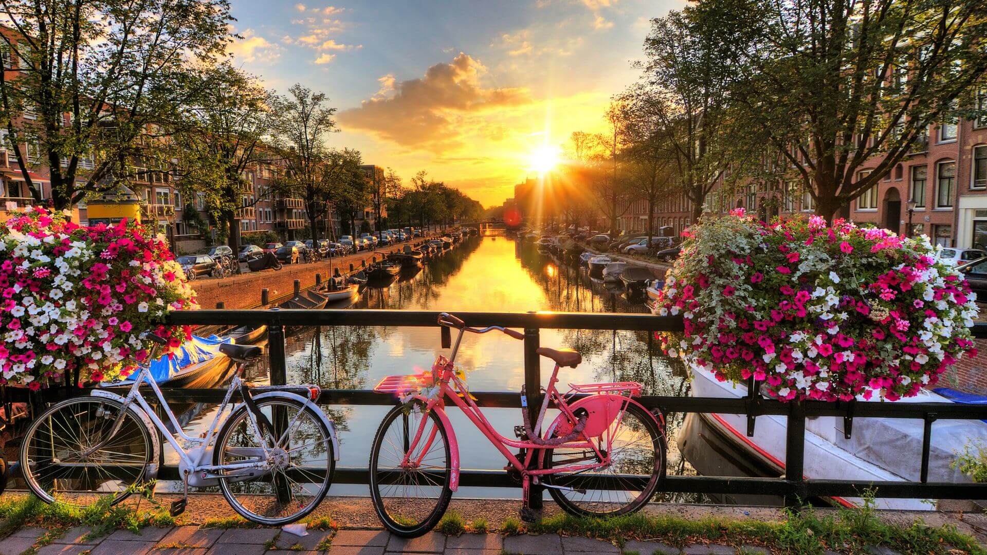 Fahrräder auf einer Brück in Amsterdam bei Sonnenaufgang