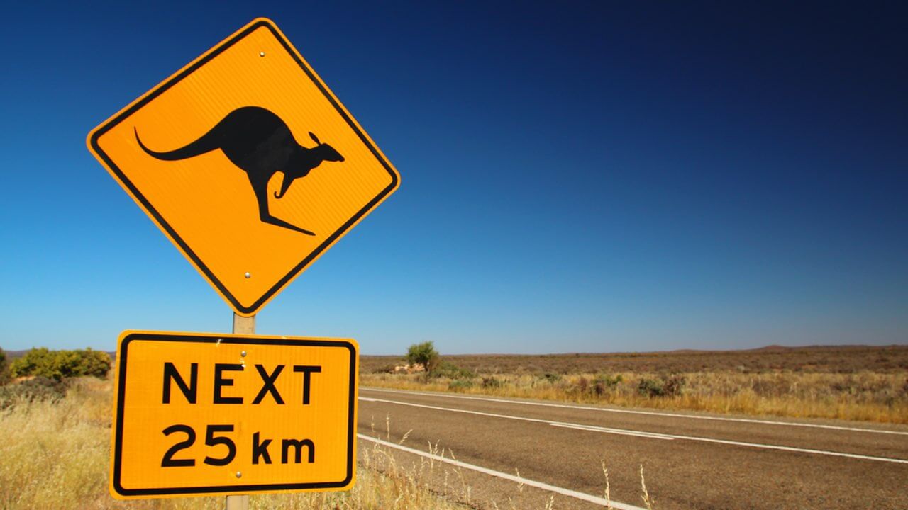 Ein Warnschild vor Kängurus in Australien