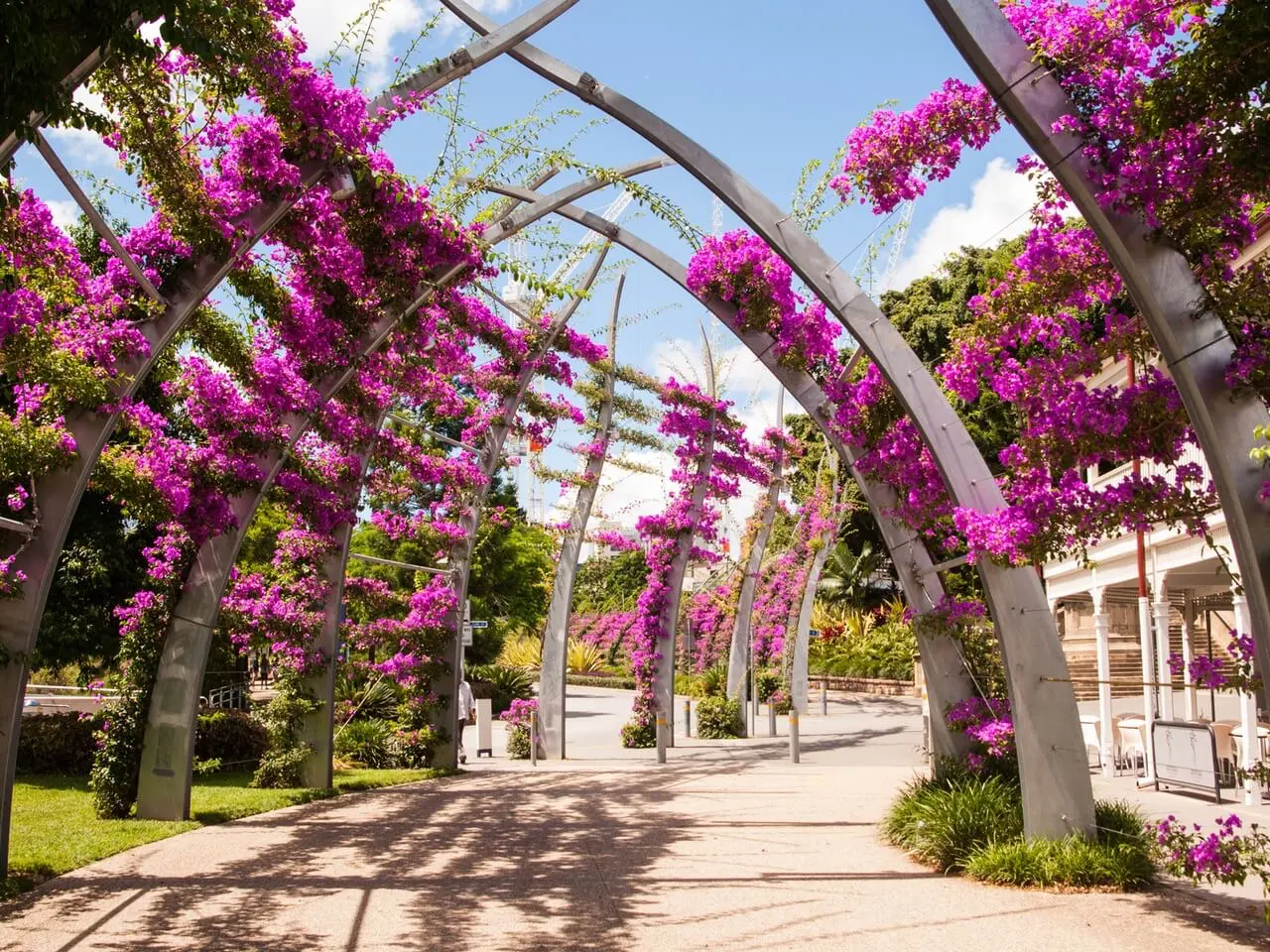 Pinke Blumenbögen in Brisbane
