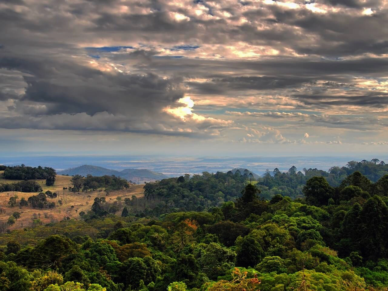 Blick auf den Bunya-Mountains-Nationalpark