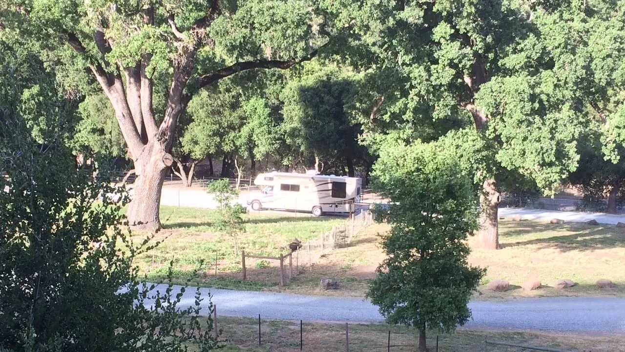 Ein Road Bear Camper in der Natur