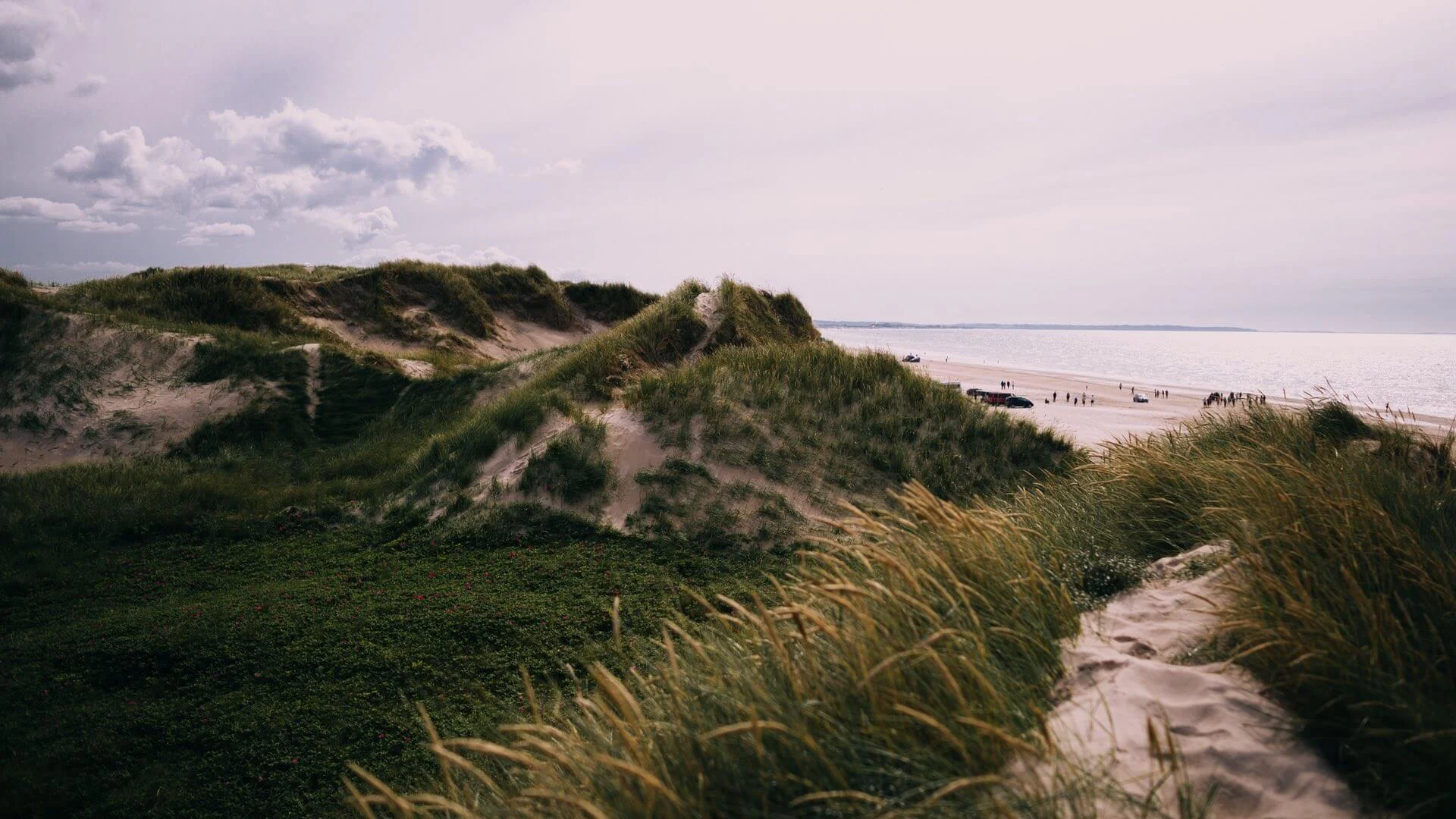 Dänischer Nordseestrand.