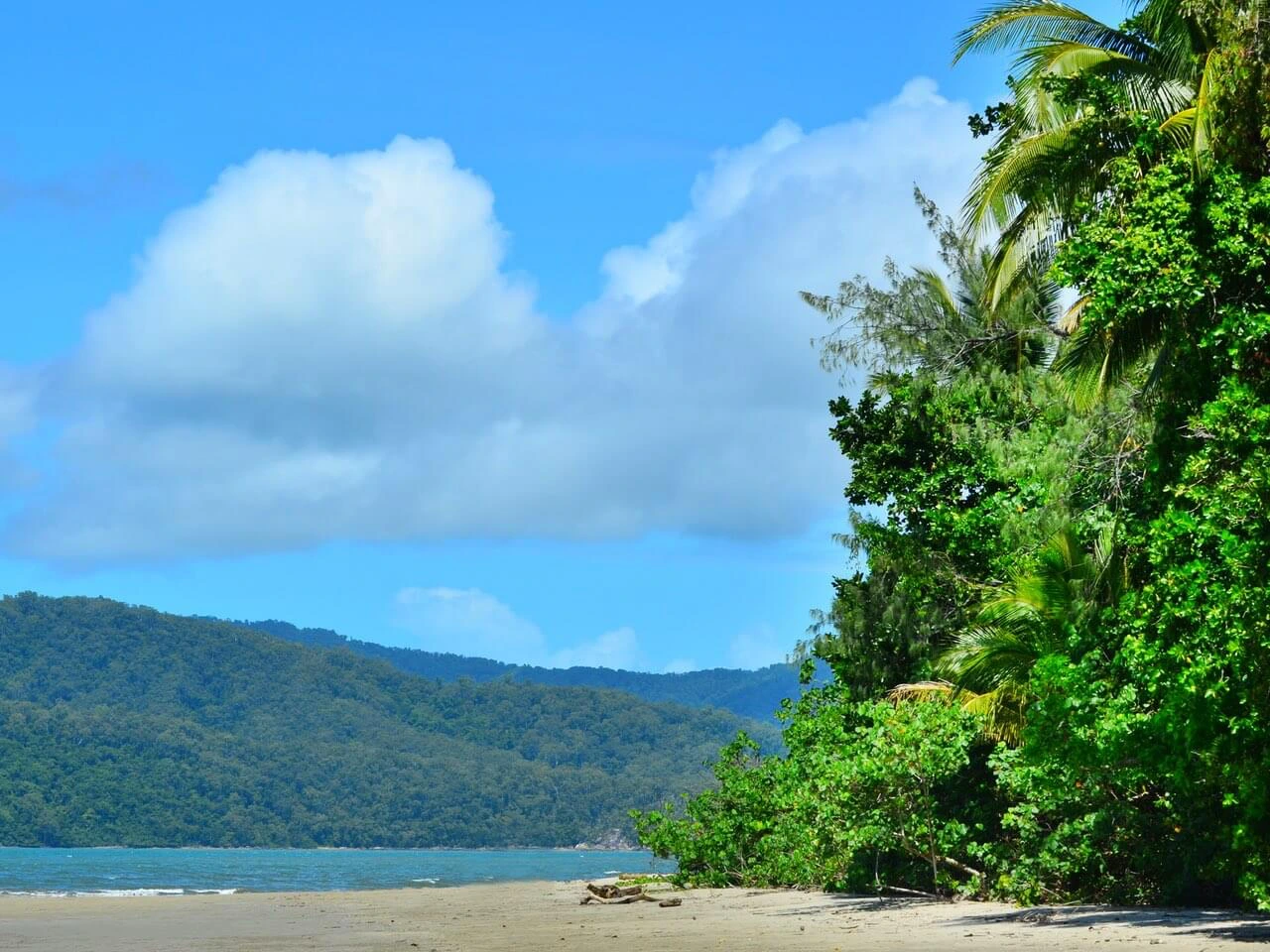Strand im Daintree Nationalpark