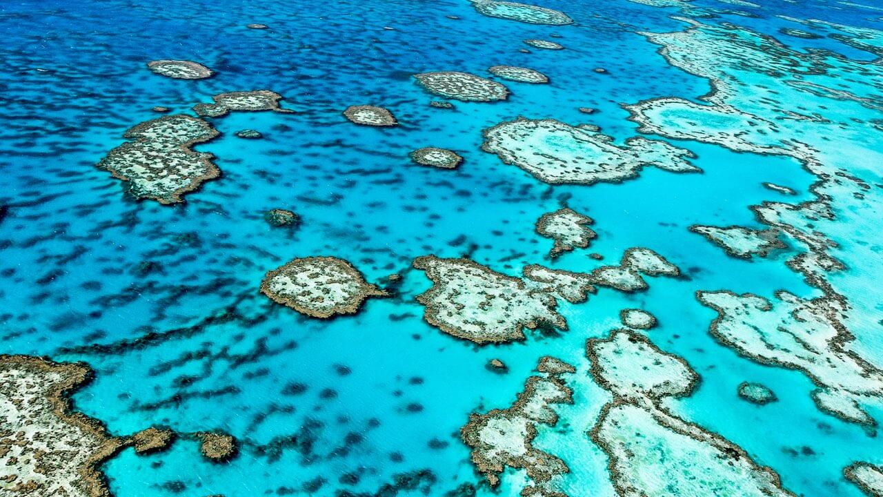 Luftaufnahme des Great Barrier Reefs