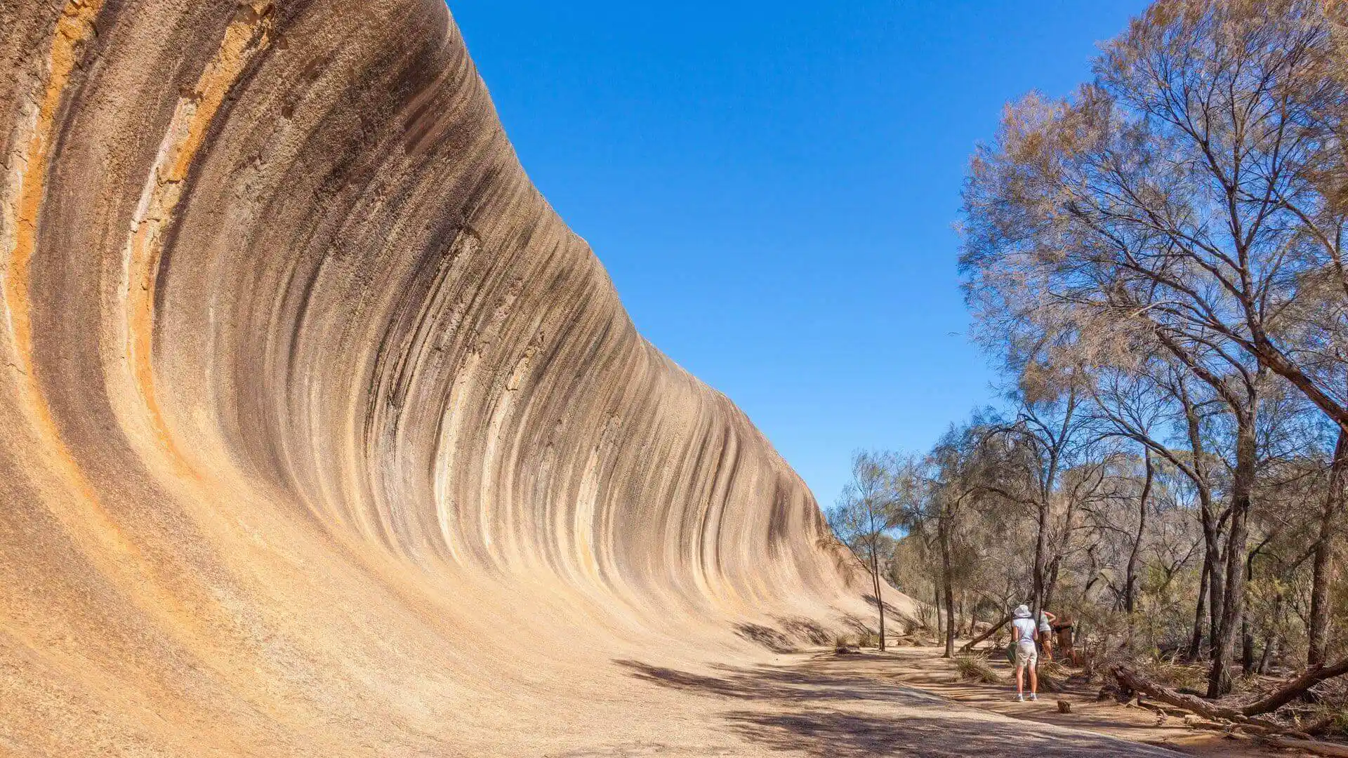 Gesteinsformation Wave Rock in Hyden