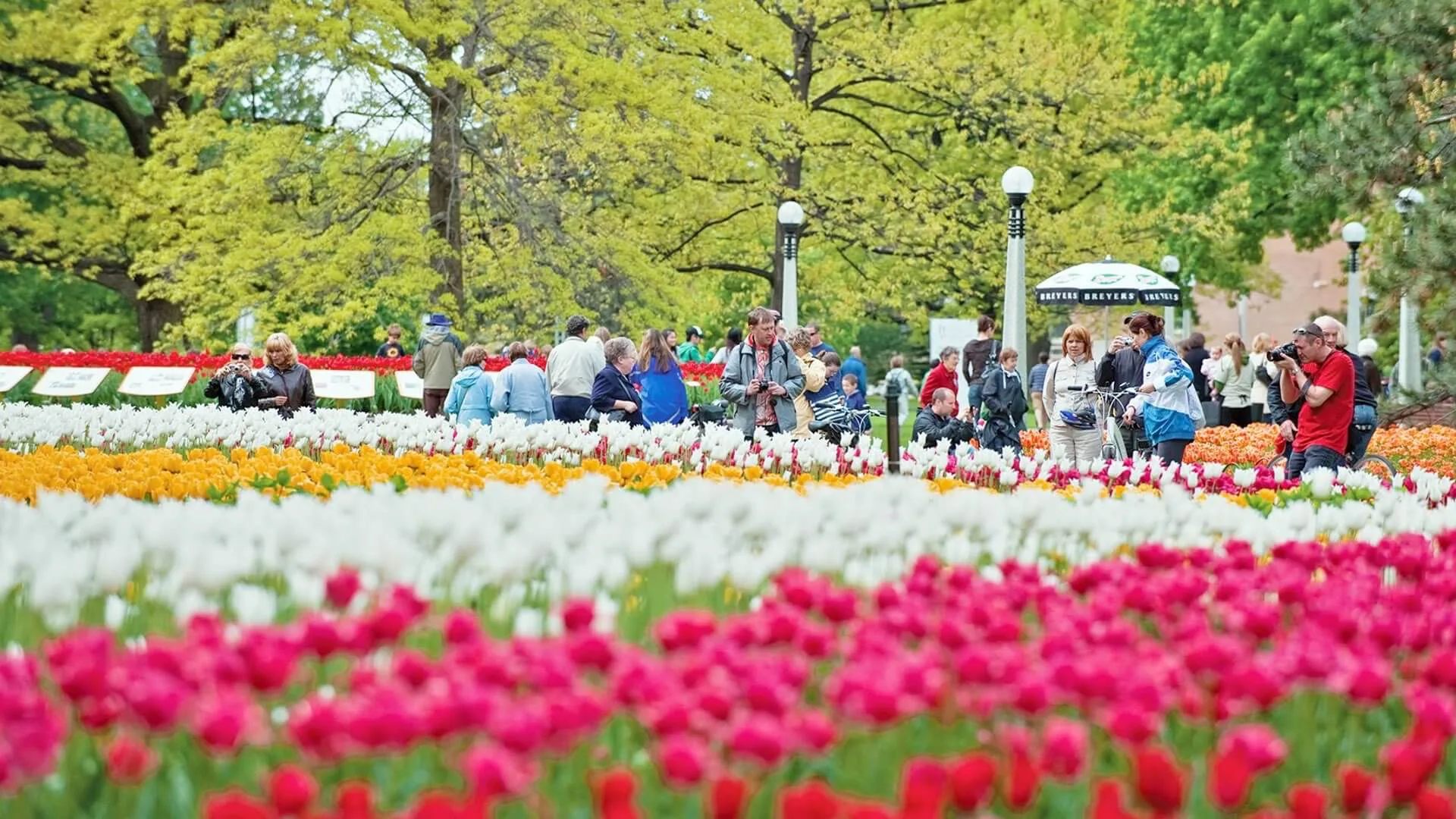Blumenschau in Ottawa.