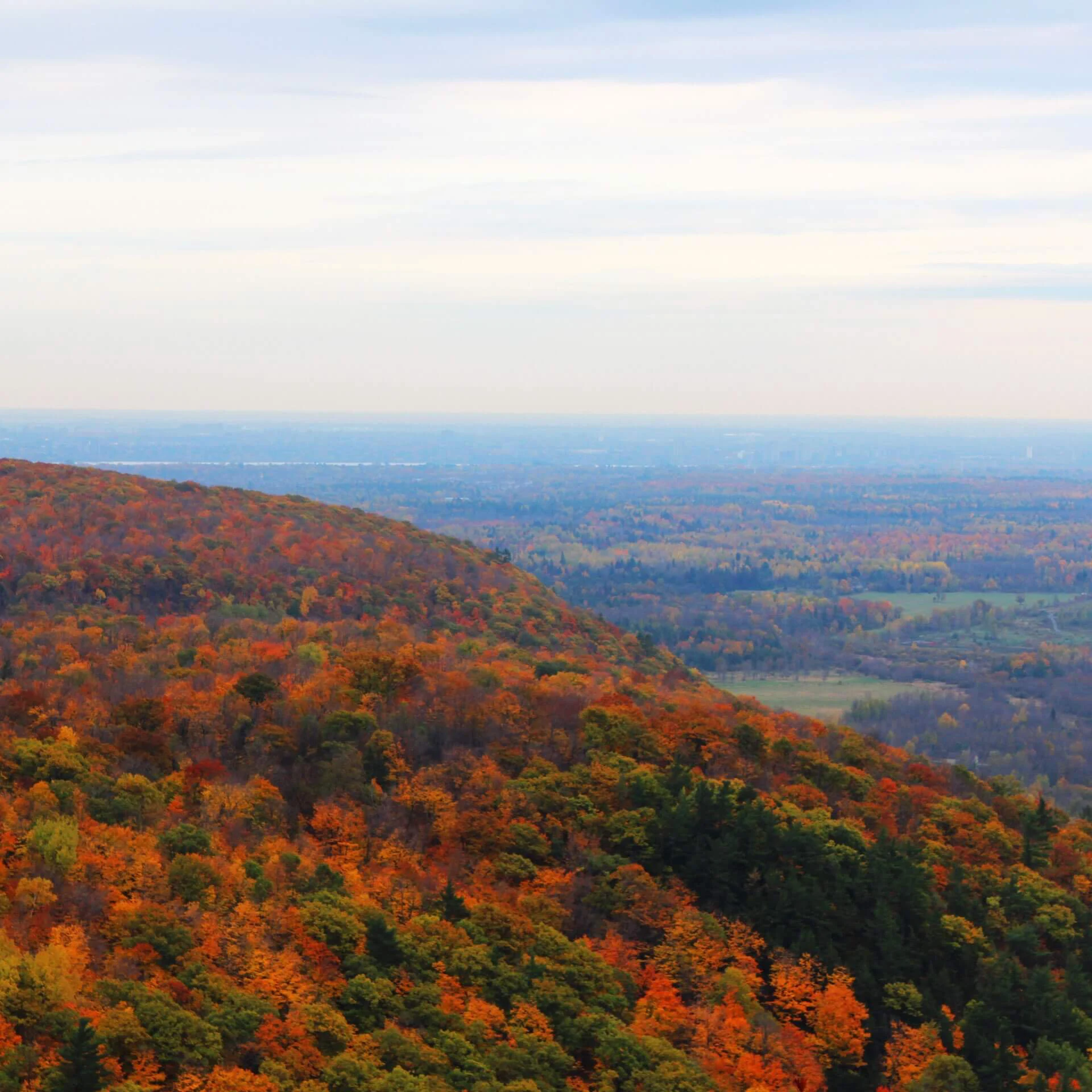 Ausblick auf den Parc de la Gatineau.