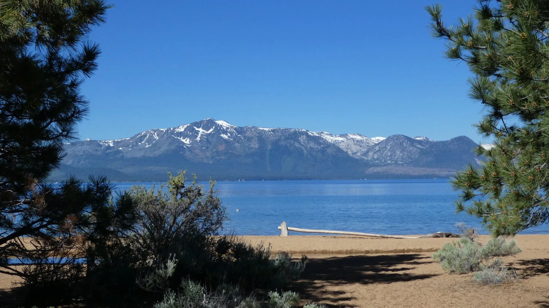 Blick auf den Nevada Beach am Lake Tahoe