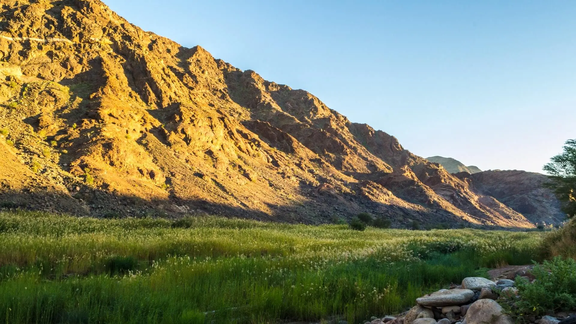 Wiese im Fish River Canyon