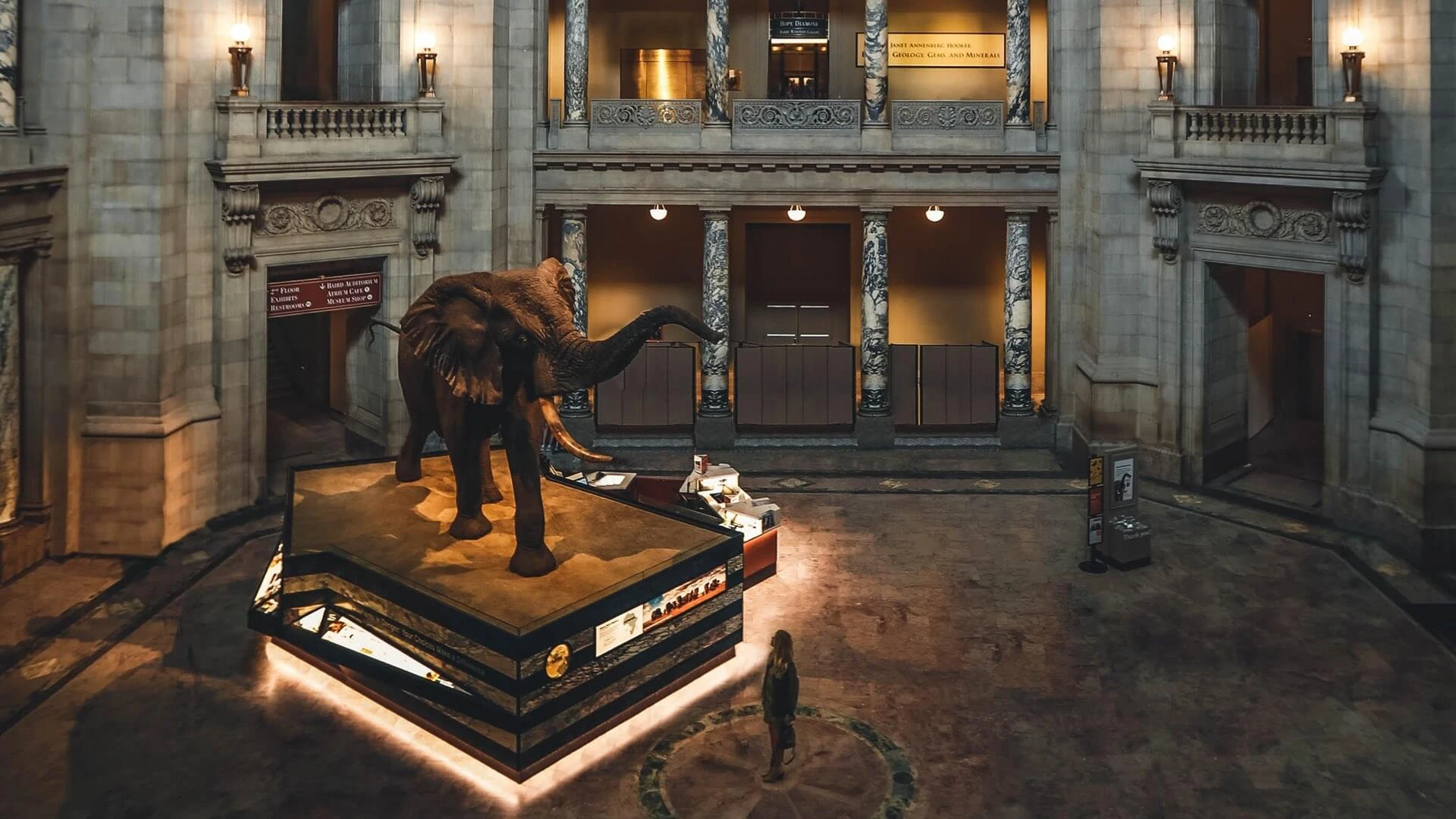 Museum in den USA besuchen