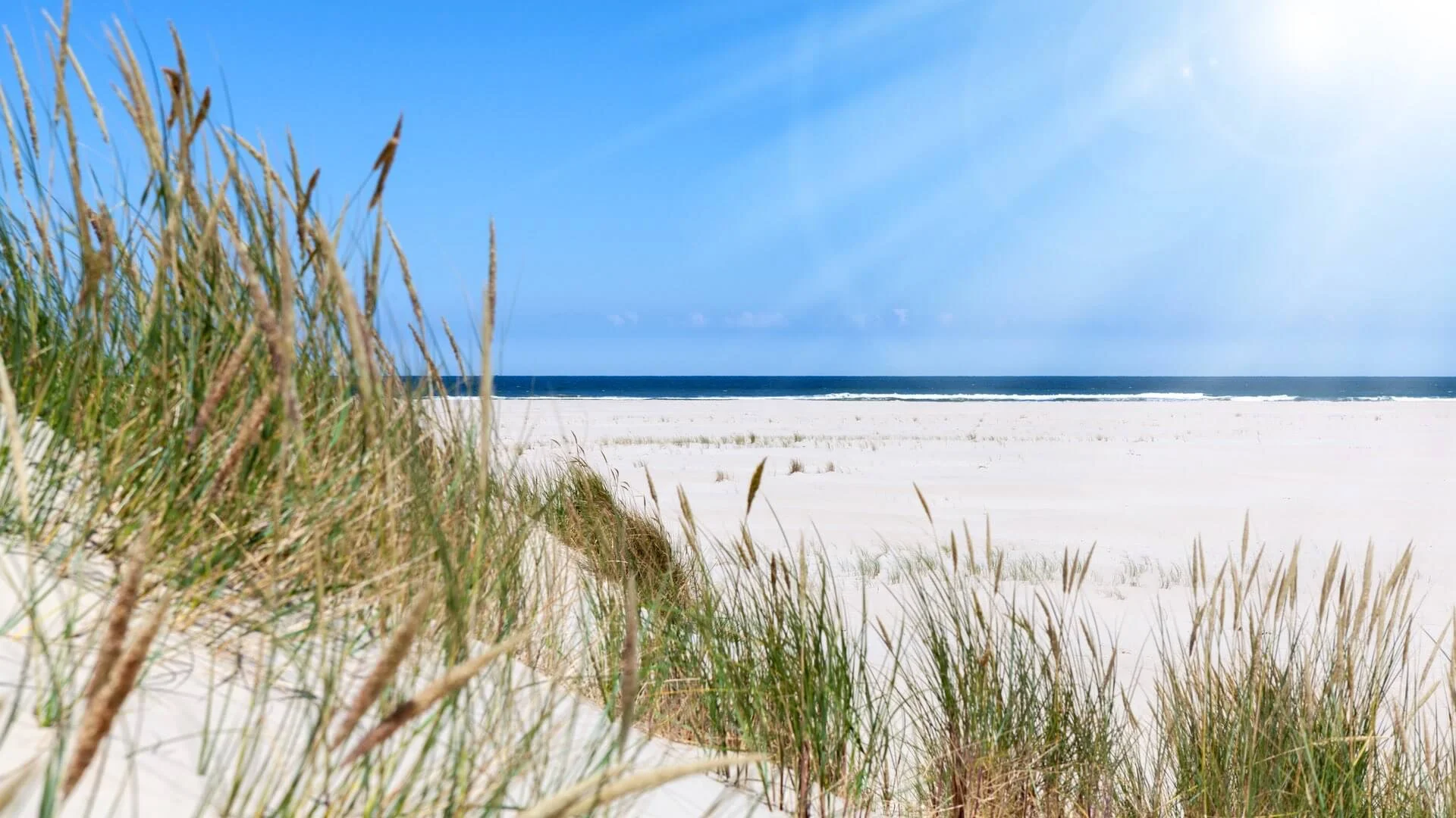Mit dem Wohnmobil die Nordseeküste entdecken