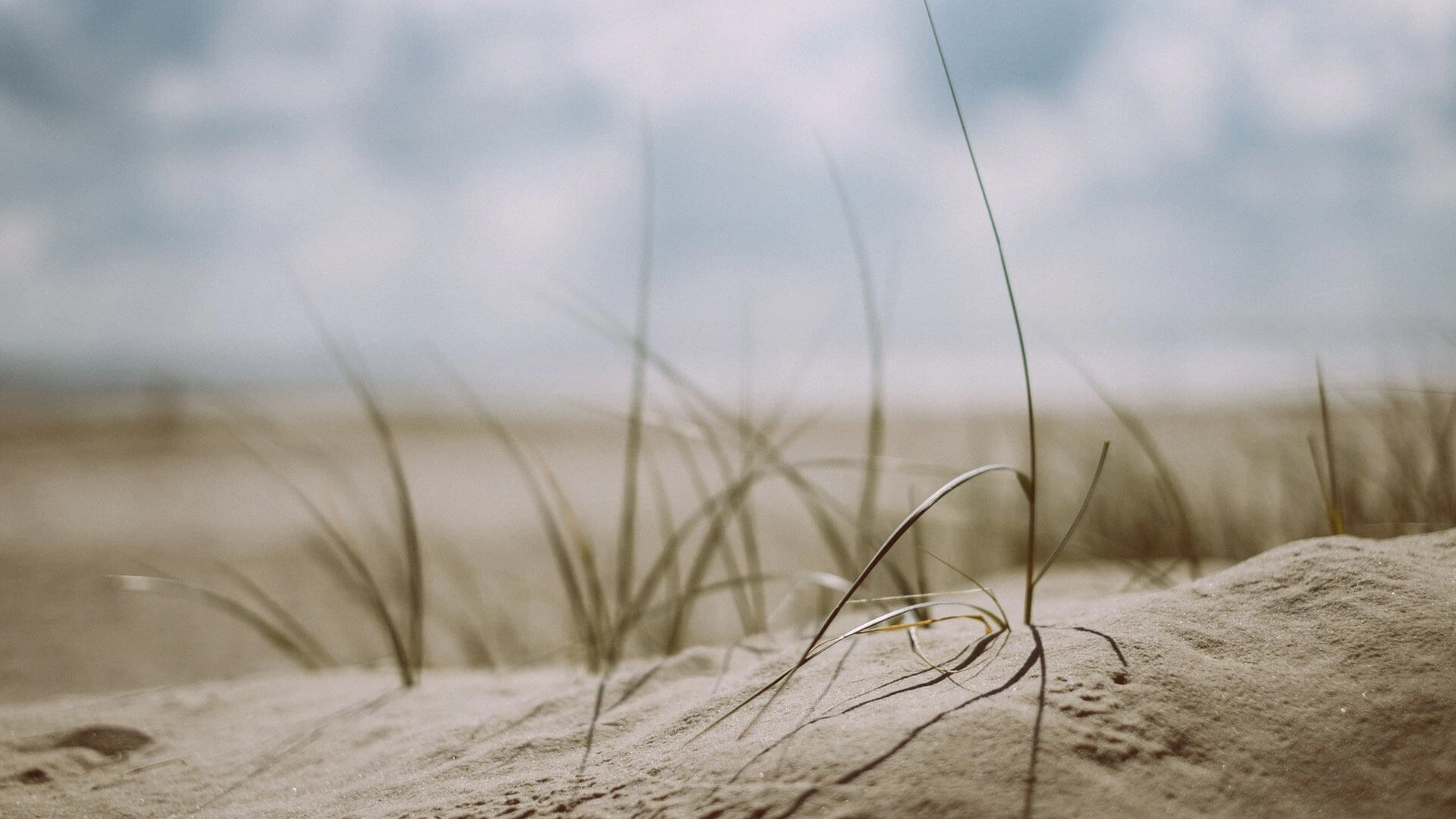 Nordseestrand und Düne.