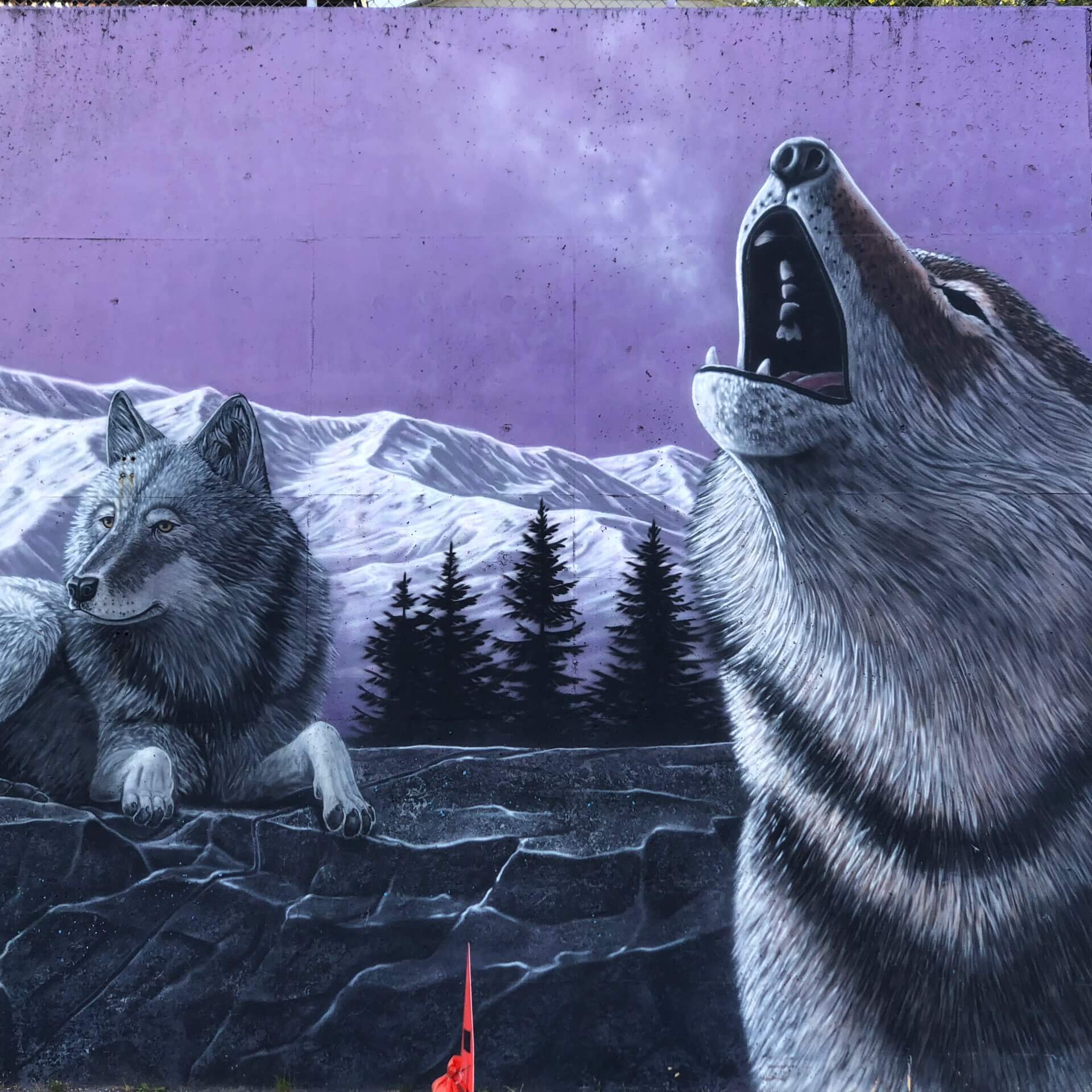 Bild von zwei Wölfen an einer Hauswand
