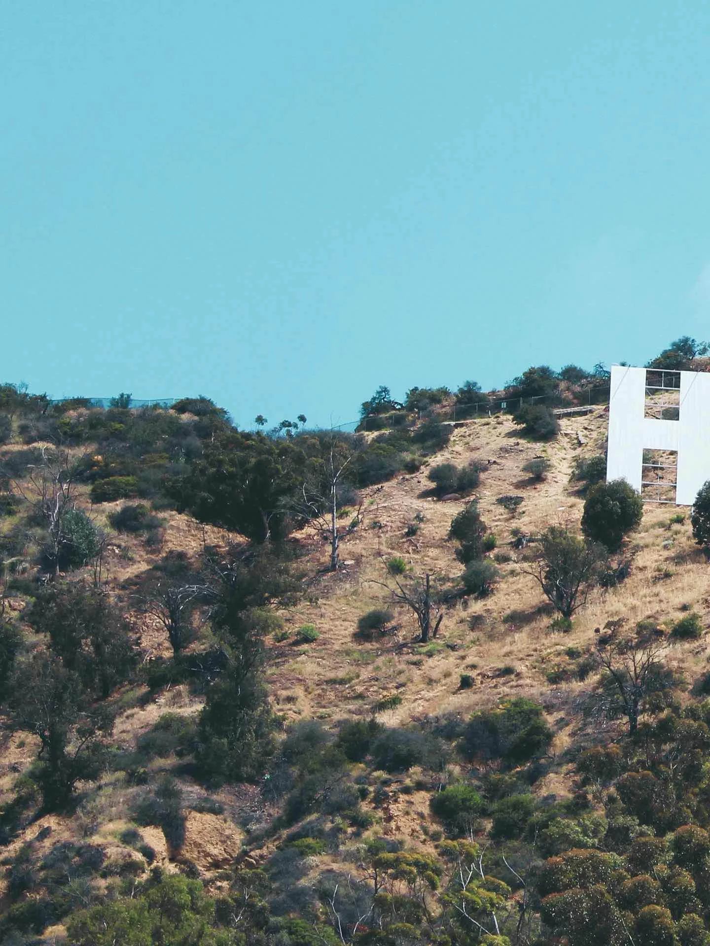 Blick auf das Hollywood Sign - Teil 1.