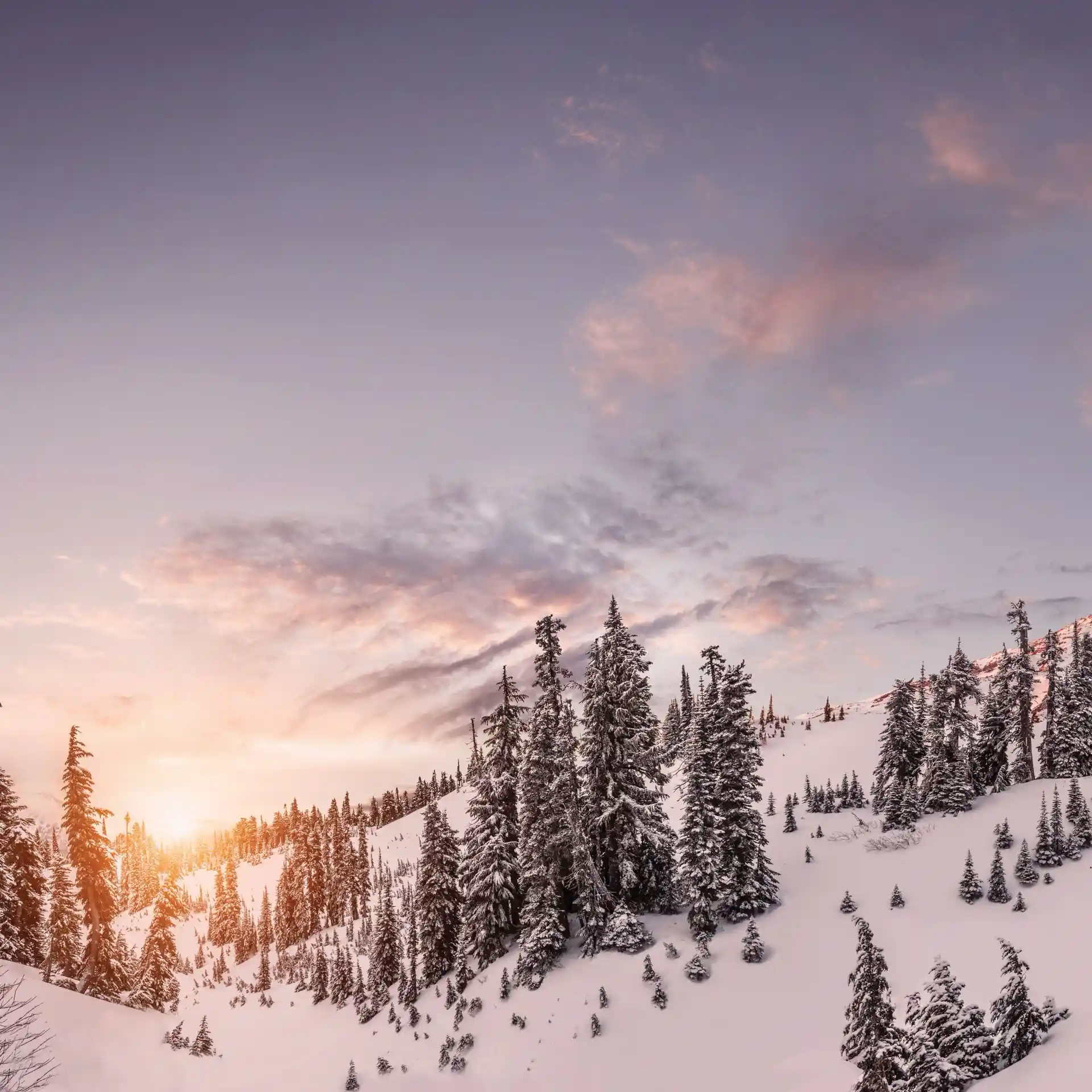Sonnenuntergang am Mount Rainier in Washington