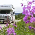 Ein Wohnmobil fährt über eine Schotterstraße mit Blumen am Rand und Natur rundherum.