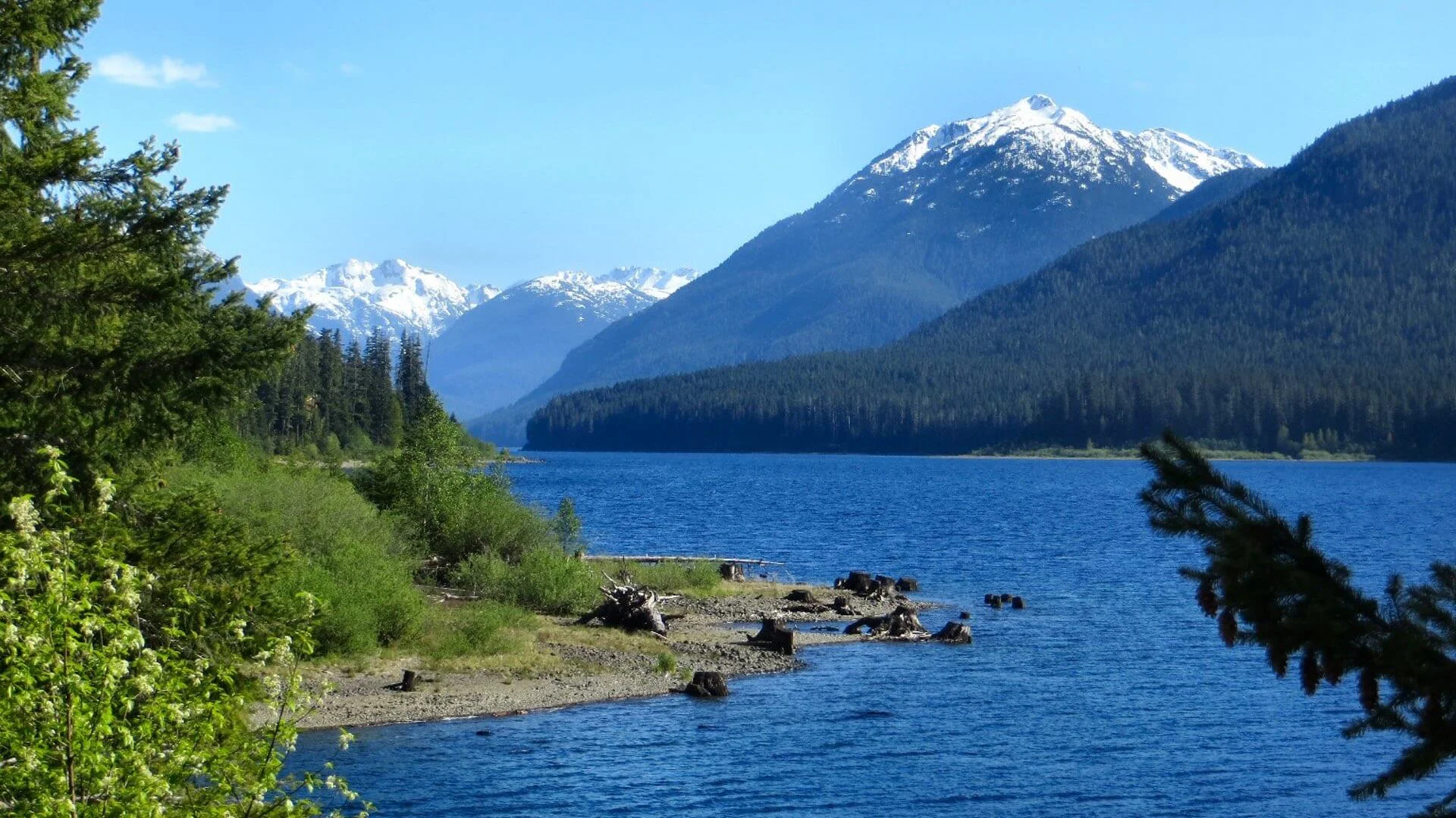 Blick auf den Buttle Lake