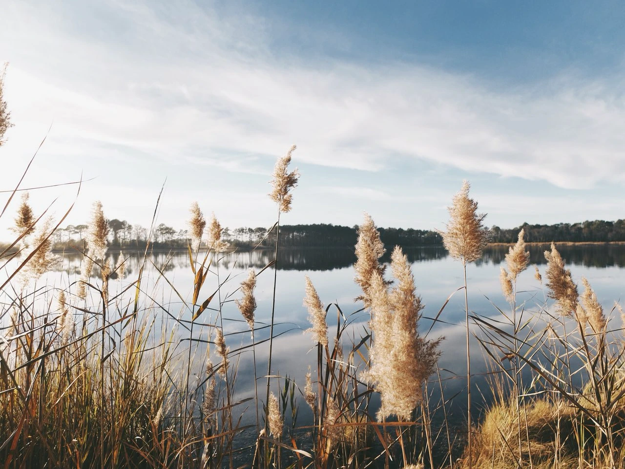Blick auf einen See mit Schilfgräsern davor