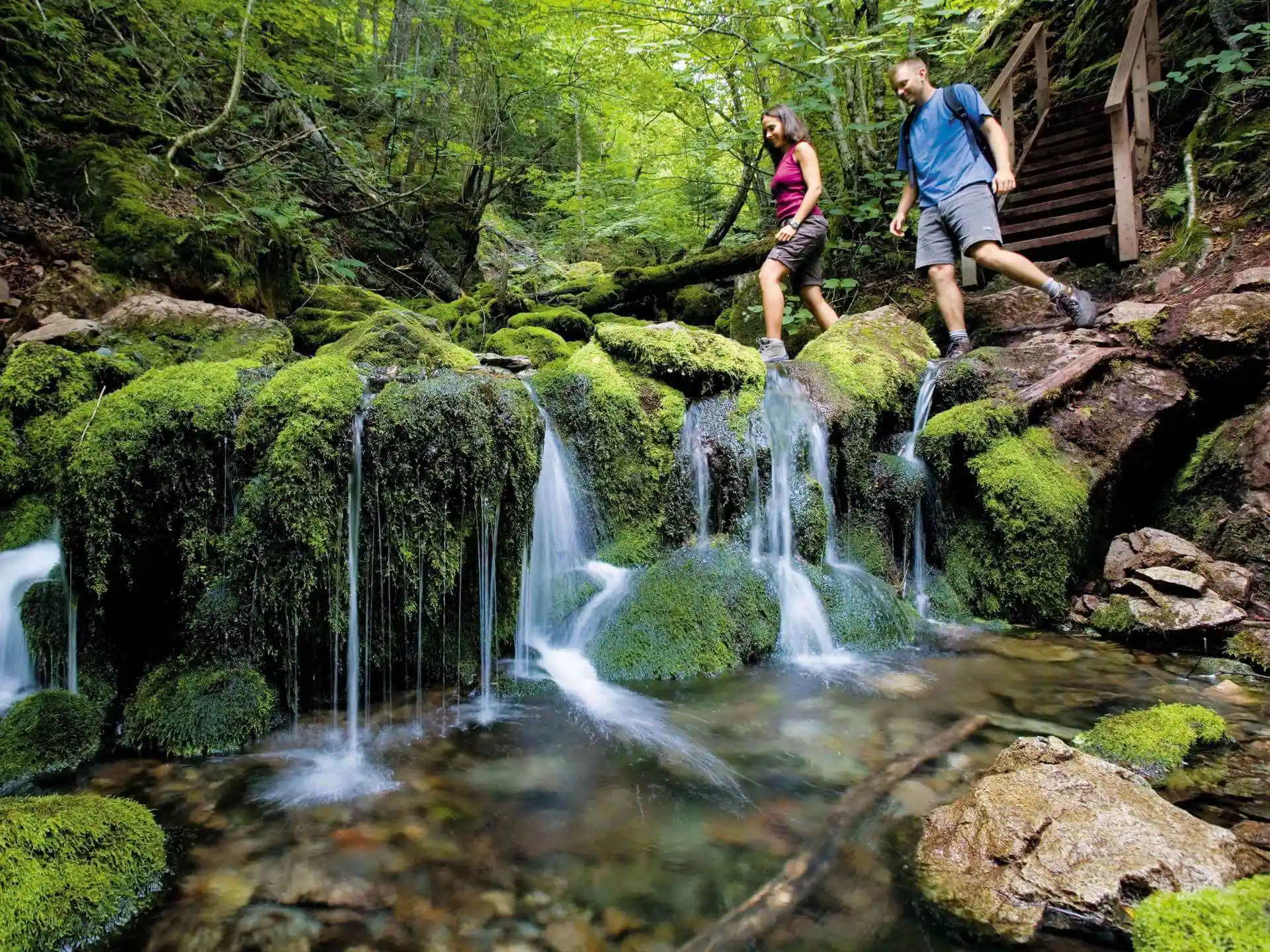 Wanderung durch den Fundy-Nationalpark