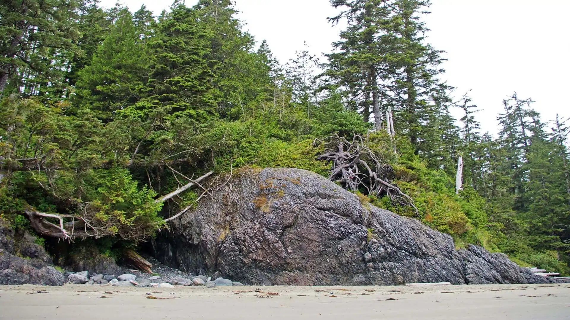 Felsen im Pacific Rim Nationalpark.