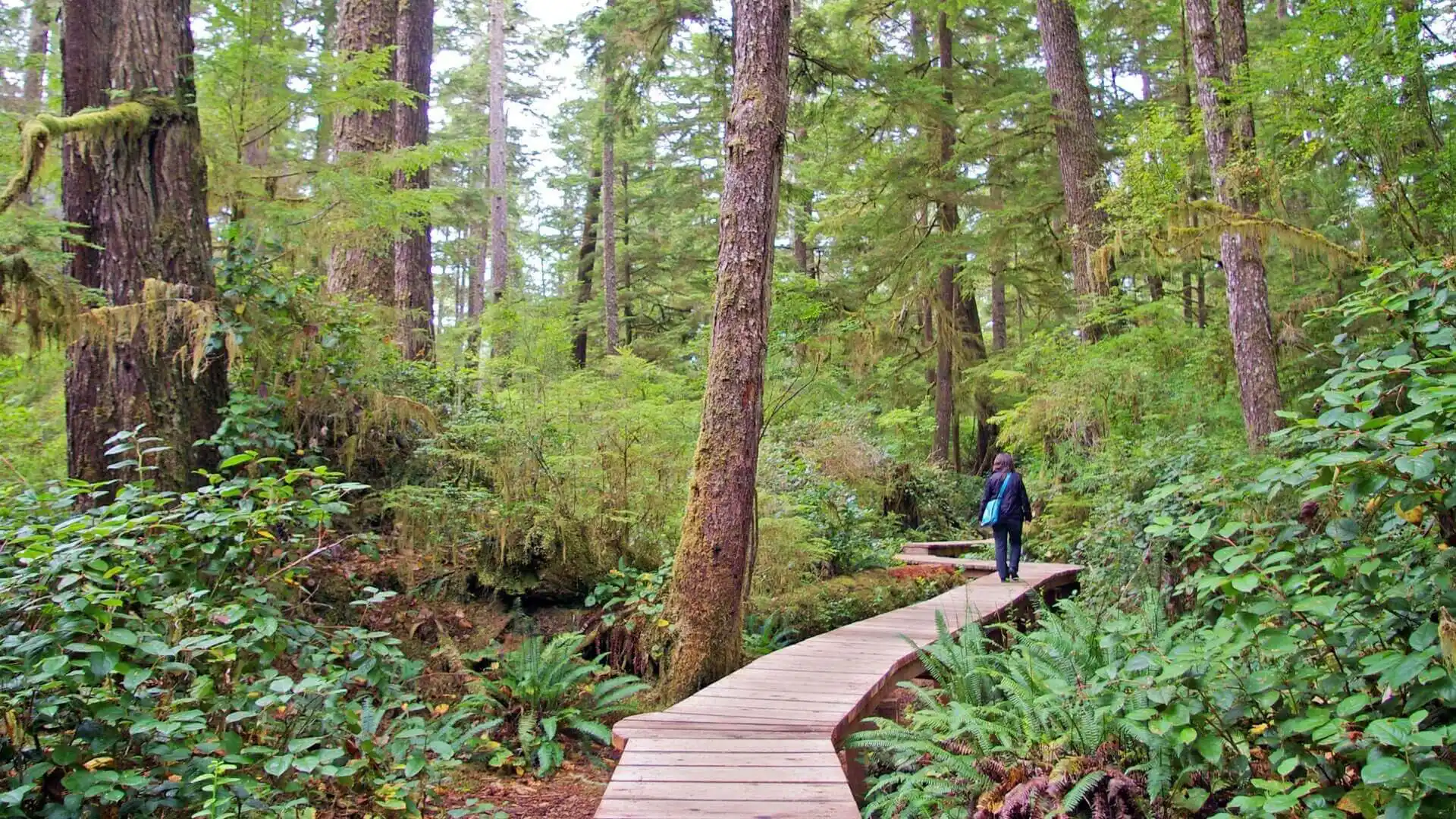 Frau auf einem Holzweg im Pacific Rim Nationalpark.
