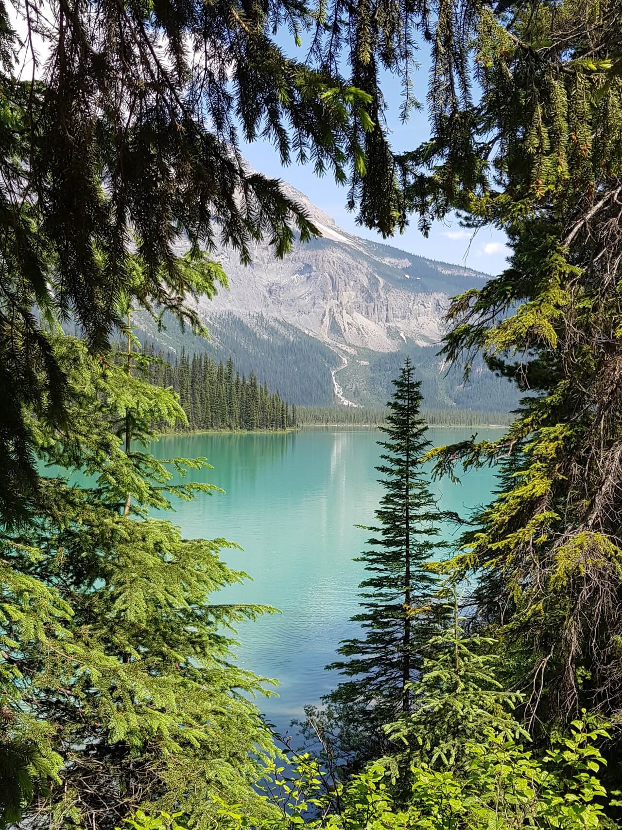 Blick auf einen See im Westen Kanadas