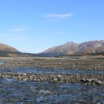 Landschaft mit Fluss im Denali-Nationalpark
