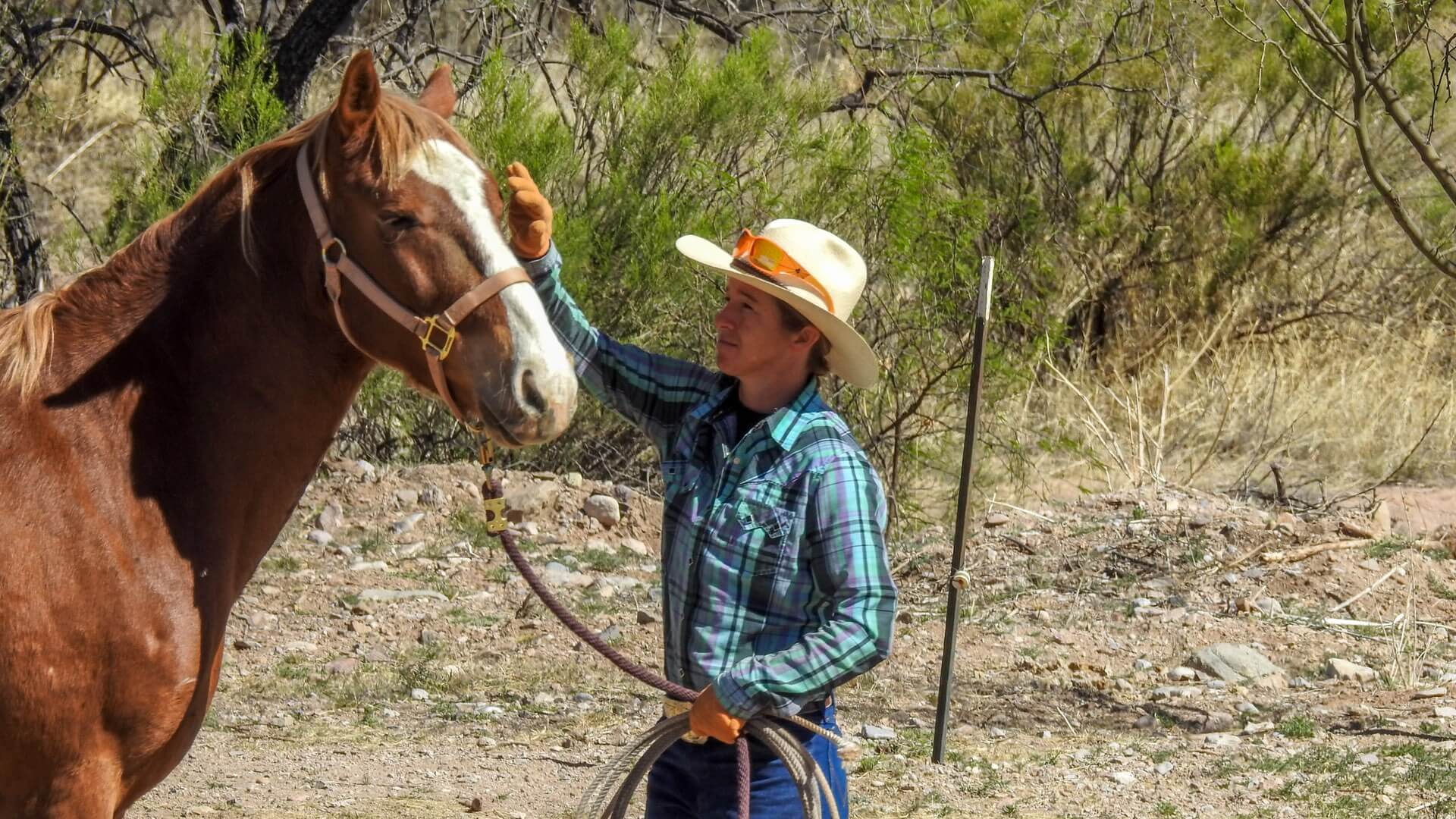 Ein Cowboy mit Pferd in New Mexico