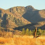 Landschaft in New Mexico