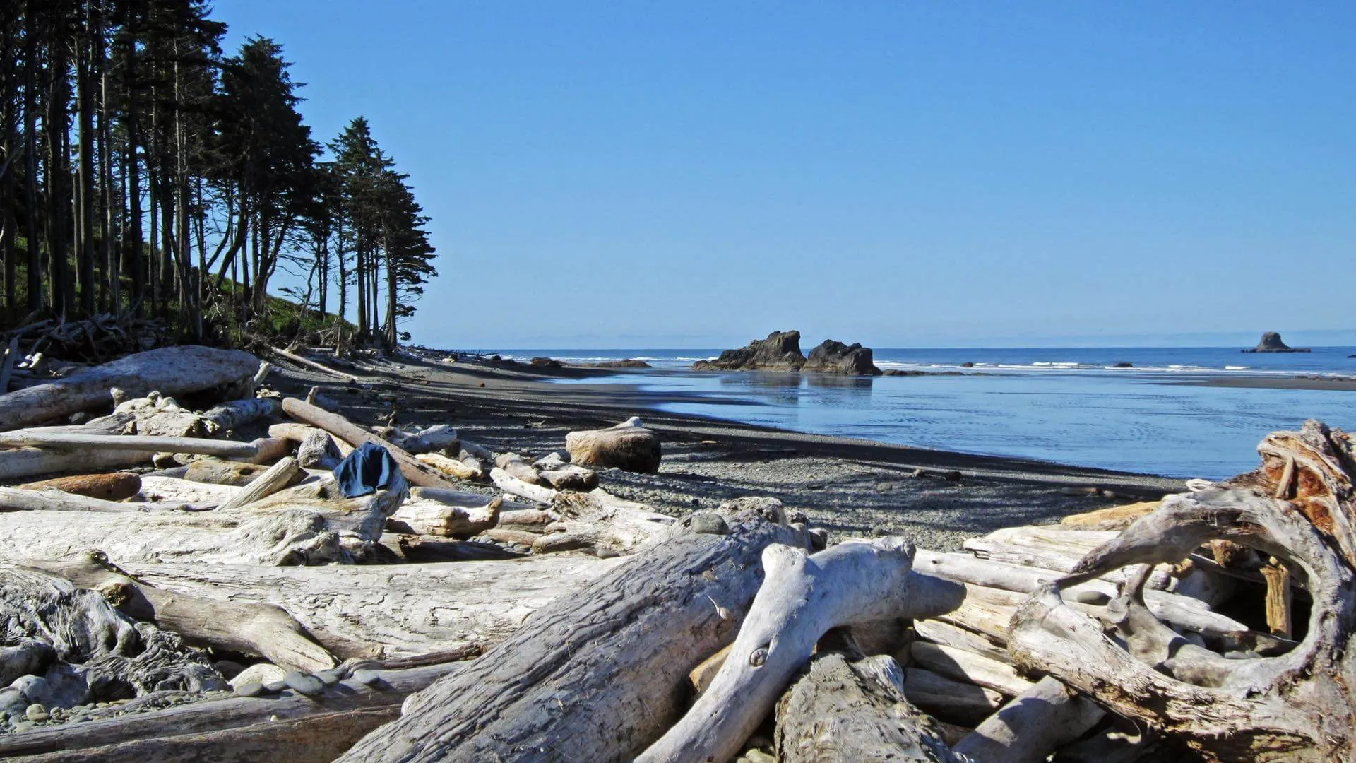 Strand an der Olympic Peninsula.